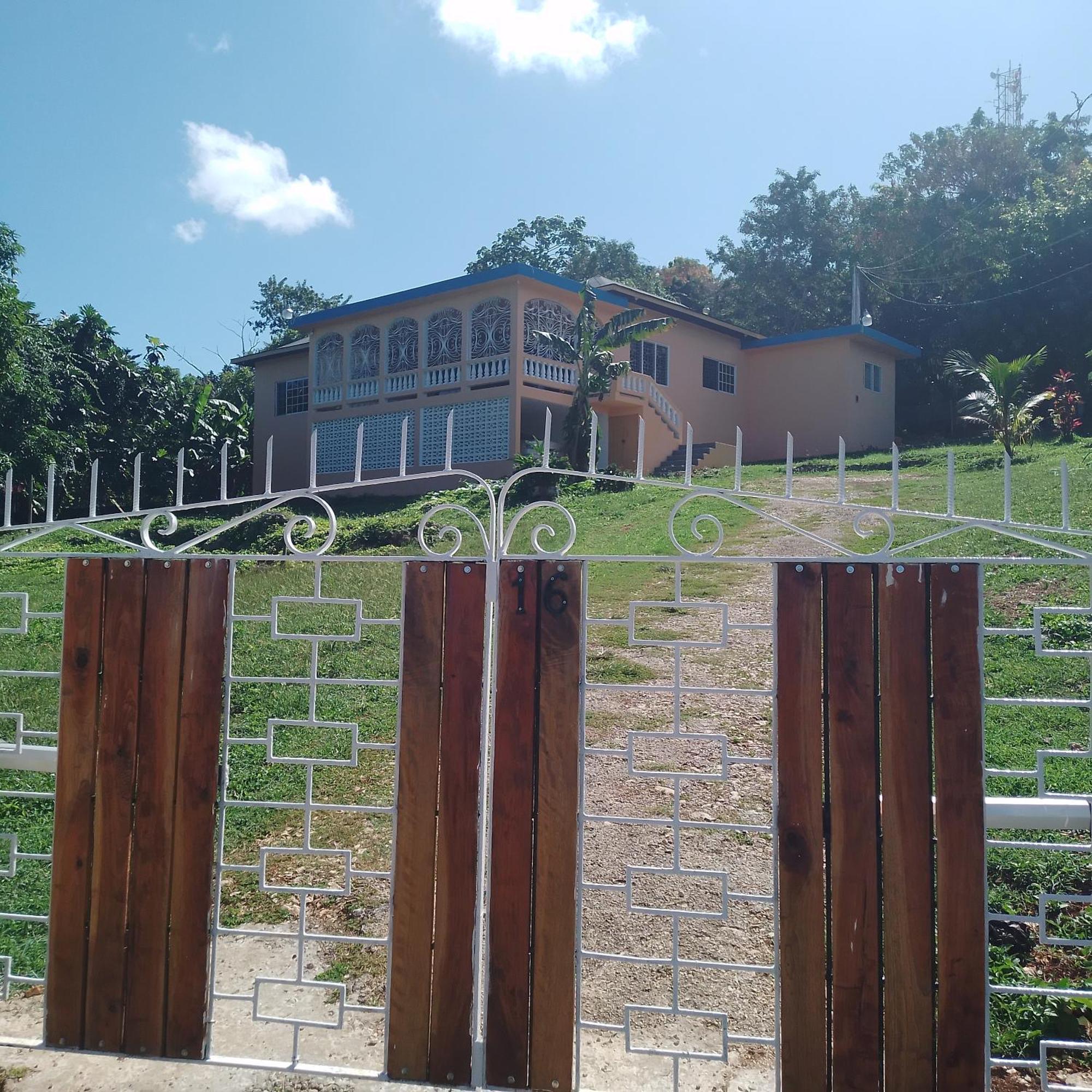 Mango Walk Homestay Montego Bay Exterior foto